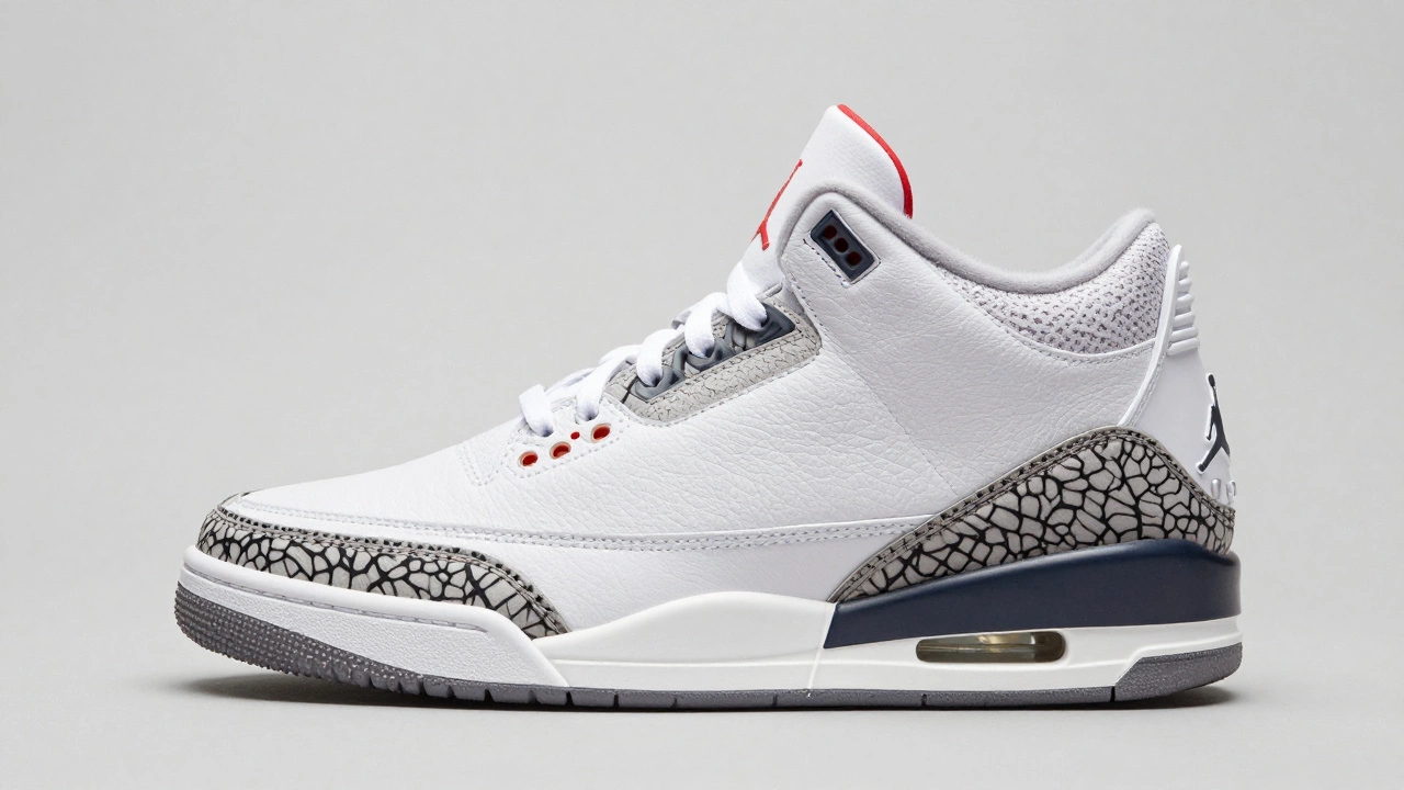 Air Jordan 3 sneaker showing contrast between leather and elephant print